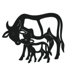 cow svg/dxf/AI