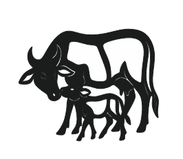 cow svg/dxf/AI