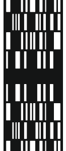 cnc rectangle jali design svg/dxf file