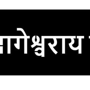 Cnc om Bageswaray namh svg/dxf file